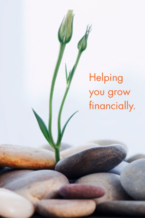 photo: man on computer